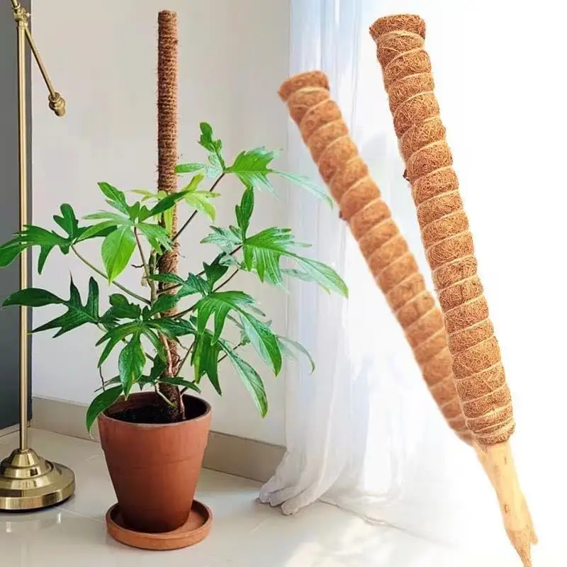 1pc Plant Climbing Pole Coir Moss Stick Coir Moss Palm Vines Stick