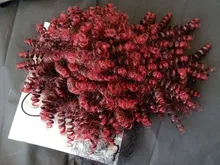 Leeons nuevo rizado flequillo de 11Color Pelo Rizado flequillo extensiones de cabello sintético Clip en el frente postizos ajustable