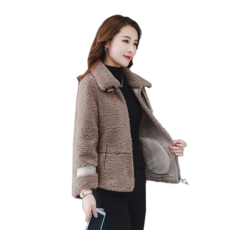 

Women's Short Coat Lady Autumn And Winter 2020 Wild Korean Version Of Lamb Down Plush Small Foreign Plush Coat Jacket L16