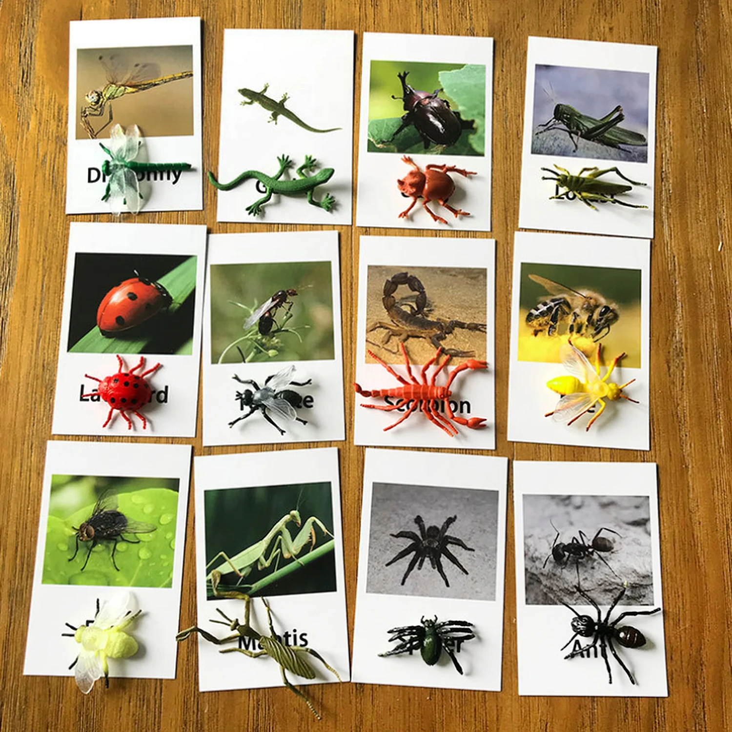 

12PCS Kids Insect Livestock Farm Animal Sea Marine Animal Wild Animal Figurines Cognition Matching Cards Educational Toy