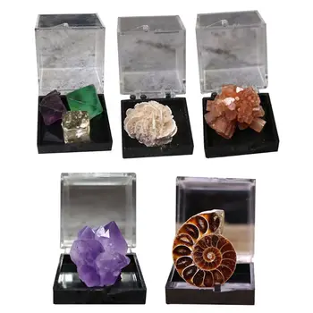 

Natural Crystals Gift in Box Rough Mineral Specimen Reiki Healing Gift Free Box