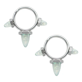 

2020 Newest 16g 316L Stainless Steel Segment Hinged Rings Septum Nose Clicker Piercing Nose Earrings Helix Nose Piercing Body