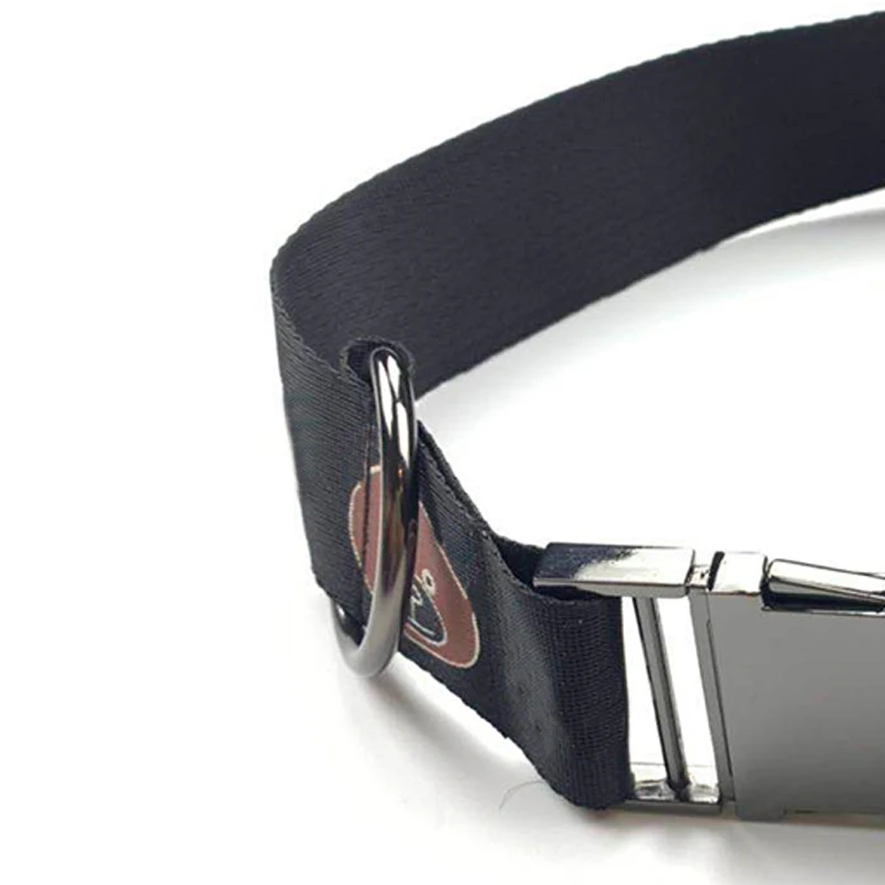 Goedkoop Halsband Leash Harnas voor Kleine Honden Franse Bulldog Vip LC0171