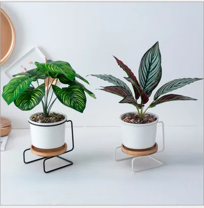 

Scandinavian Minimalist S Type Modern Geometry Multi-Meatballs Ceramic Green Vegetation Flowerpot Round Bamboo Care Hob Set