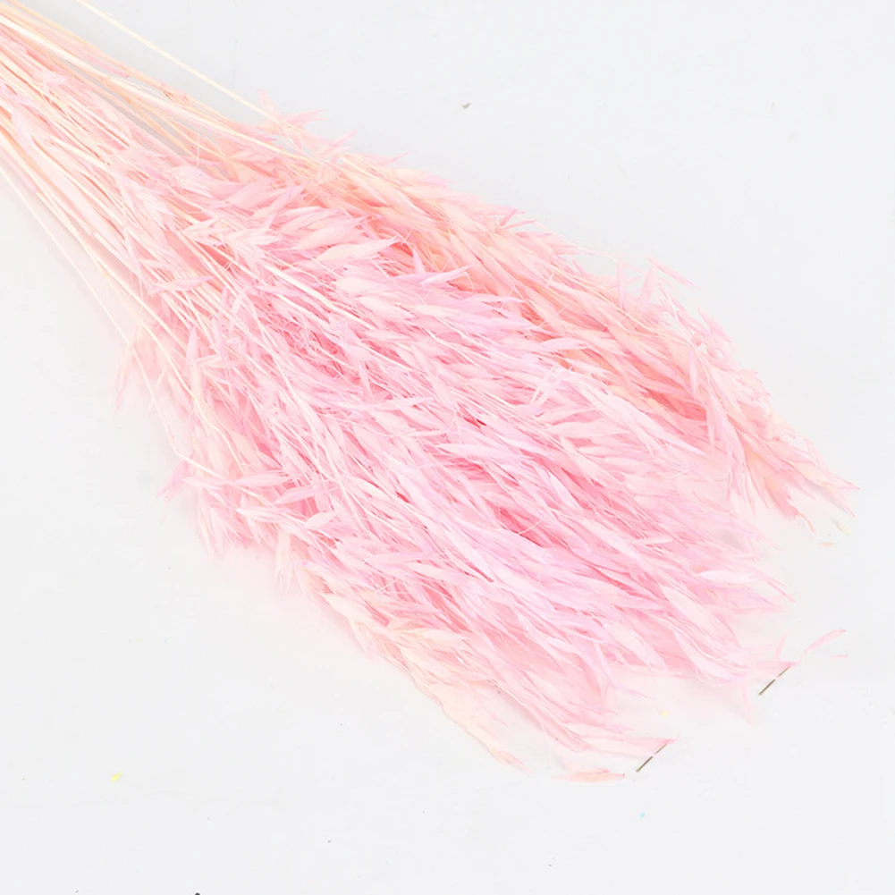 Natural Dried Fresh Flower Bundle Preserved Flower DIY Flower Wedding Background Wall Wheat Flower Photo Photography props - Цвет: Pink