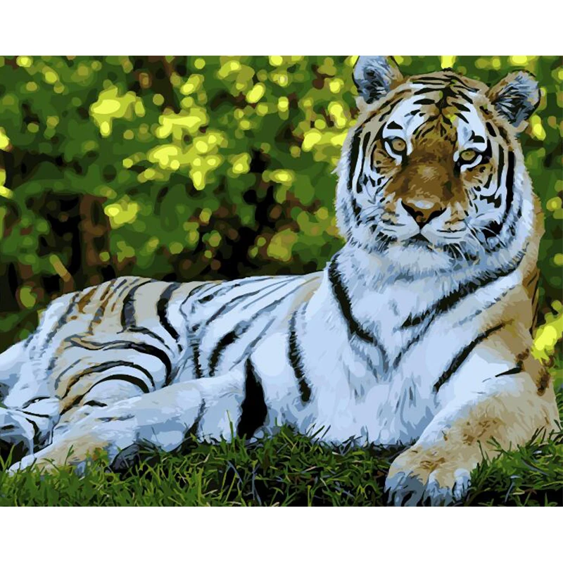 Grassland Tiger Paint By number Tools High Quality Canvas Beautiful