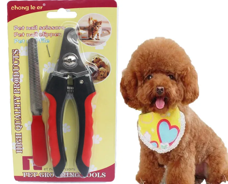 

Pet Nail Clippers Dog Nail Scissors Suit Large Cat and Kitty Beauty Scissors File Pet Scissors Supplies Have Good Quality