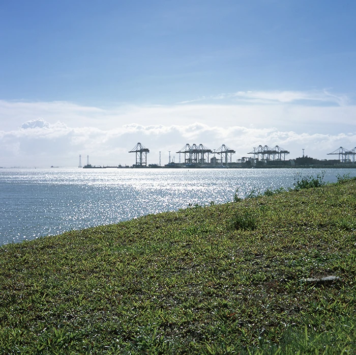 O1CN01lFT2XK2JjMCYZfQp2_!!1055079457