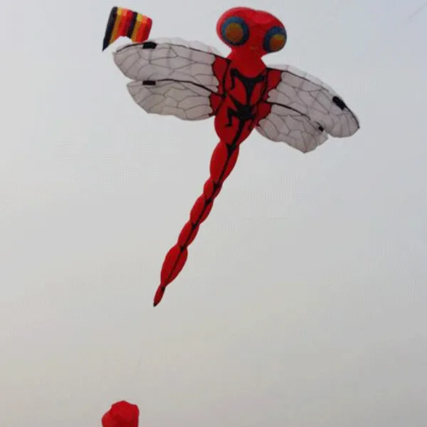 TB2hBX1Dv1TBuNjy0FjXXajyXXa_!!1056965195