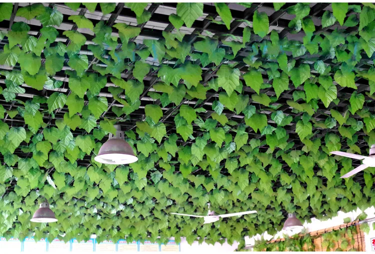 TB2z0cGkhhmpuFjSZFyXXcLdFXa_!!25856062