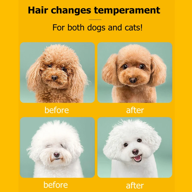 Slide image 8717ddee3fd84ec1b9dda28ec50243f5