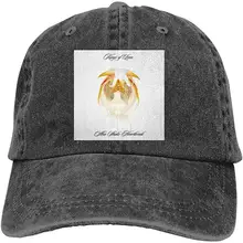 FrankIJohnson Kings of Leon Aha Shake Heartbreak Повседневная шляпа от солнца, спортивная бейсболка, унисекс, Регулируемая шляпа