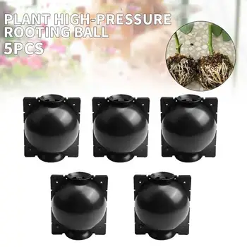 

New Rooting Ball Plant High Pressure Box Plant Propagation Box 1/5 Pcs PP Plastic macetas de plastico Garden placa de captura