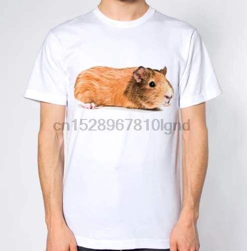Guinea Pig T Shirt | Мужская одежда