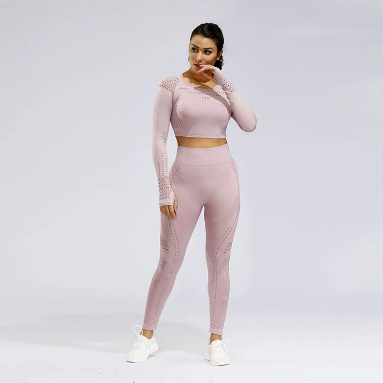 Pink 2pcs set 2 шт./набор, бесшовный Женский спортивный костюм с эффектом омбре, одежда для тренажерного зала, тренировочная одежда с длинным рукавом, укороченный топ для фитнеса и резинки на попе, леггинсы, комплект для йоги - Цвет: Pink 2pcs set