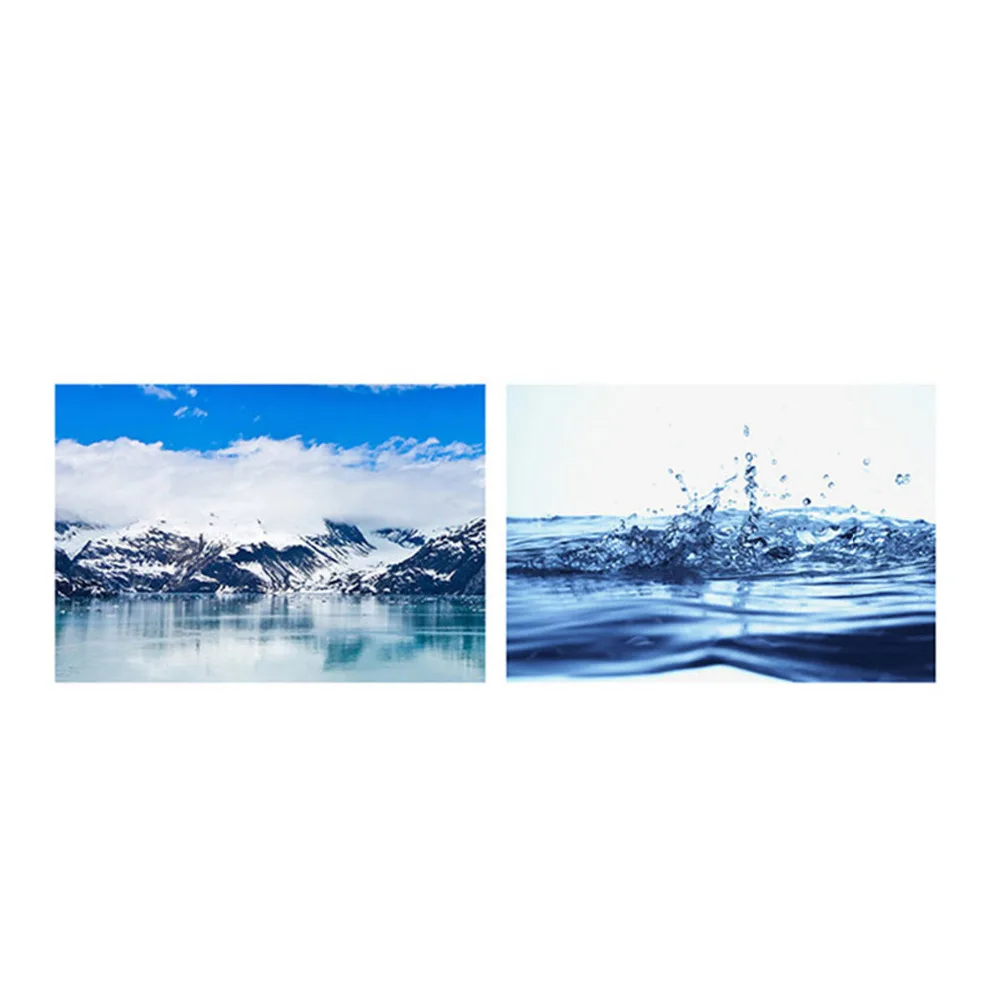 4448761614_570132866