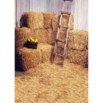 

2.1 X 1.5m Photo Background Studio Living Room Decoration Autumn Village Scenic Art Cloth Photography Backdrops