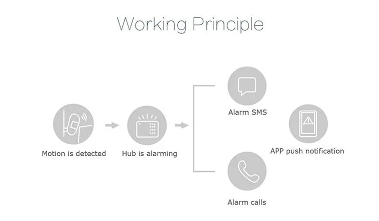 pir principle