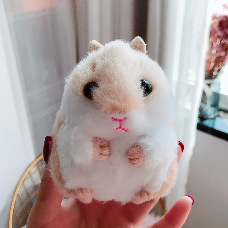 12176876753_2135521392