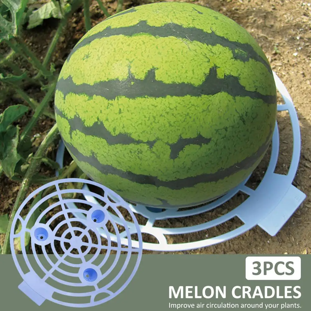 

3PC Durable Multi Function Melon Squash Cradle Watermelon Cradle Plant Support Garden Support Protector for Watermelon