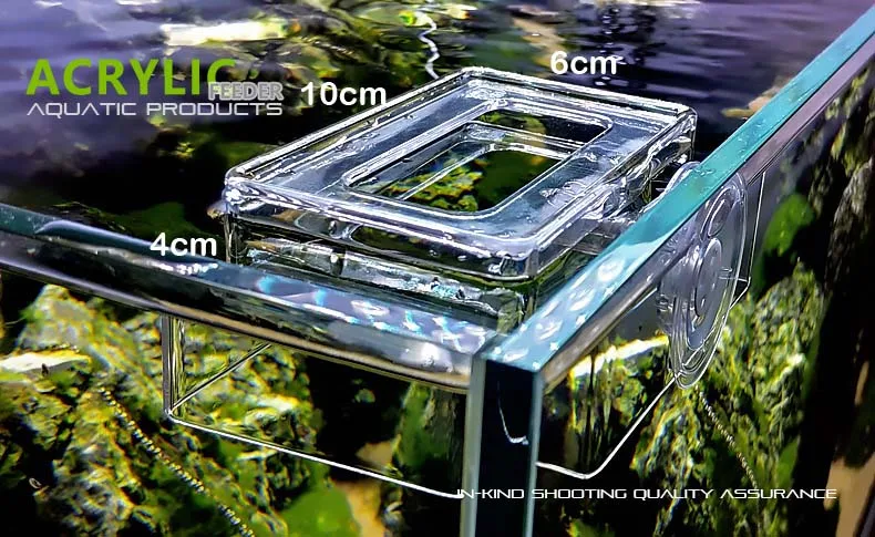S 10x6x4cm Поплавок Фидер кольцо аквариума акриловая Кормушка Для присоски для фиксации рыбы корм Тропические рыбы резервуар с водорослями морской риф танк - Цвет: S 10x6x4cm