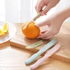 1PC Ceramic Paring Kitchen Knives Cooking Tool Ceramic Knife Kitchen Chef Fruits Utility Slicing Paring Knives Anti-slip Handle ► Photo 2/6