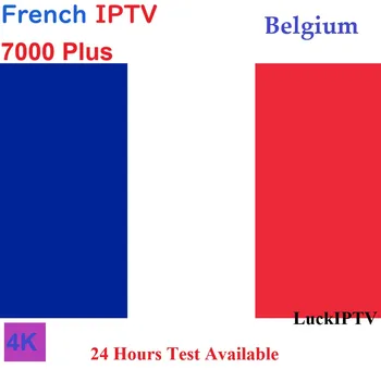 

6/12 Month French IPTV ESUNIPTV Arabic Dutch TV Spain IPTV Android tv box m3u premium server abonnement XXX