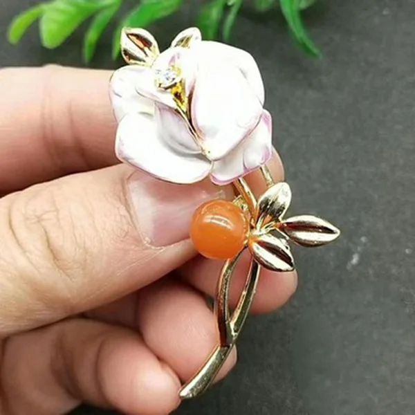 

Nature Sichuan South Red Agate Butterfly Love Brooch Small Animal Swan Pisces Women's Gift