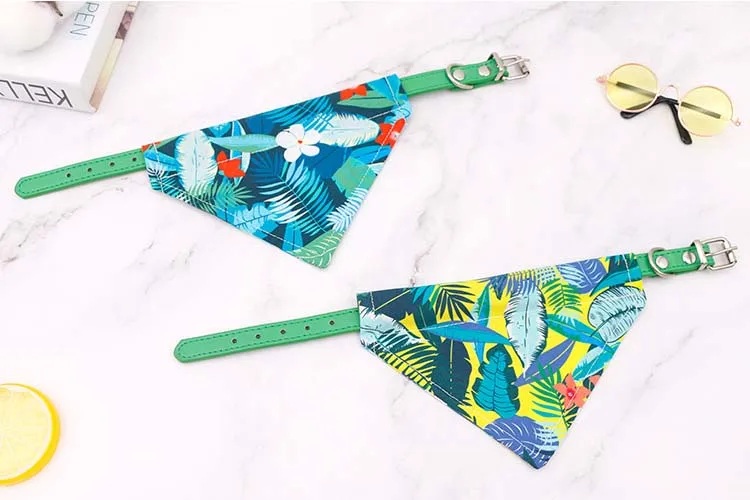 11357685105_547539500