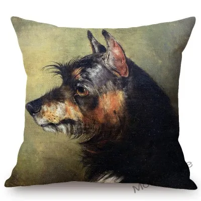 conew_n387 (44) 副本