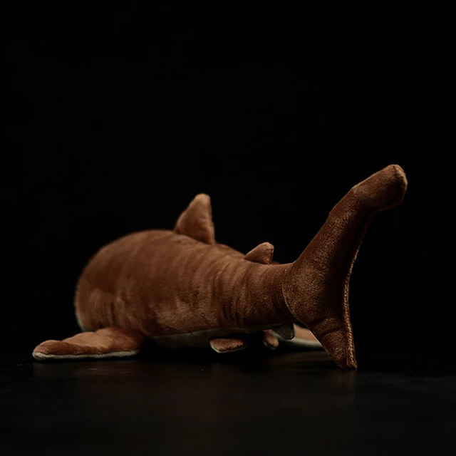 Cute Hammerhead Shark Simulation Lifelike Plush Doll Toy Fish Real Life  Animals Dolls Baby Birthday Gifts - AliExpress