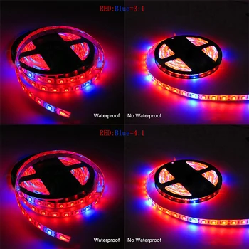 

Led Plant Grow Light Set Greenhouse Grow DIY 5050 LED Strip Plant Growth Lights For LED Growth Seedlings Plants Lamp 12V 5m