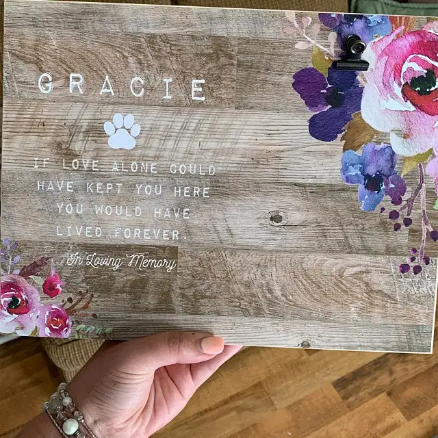 iap_640x640.2352257612_a7a2z05e