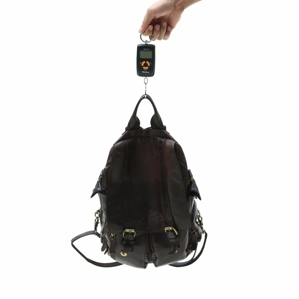 Mini LCD Portable Digital Electronic Scale 10 To 45kg 10g for Fishing Luggage WH-A05L Hooking Hanging Scale LCD Display