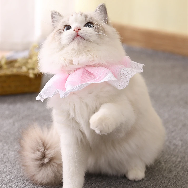 

Pet Necklace Scarf Adjustable Dog Flower Bib Wedding Accessories Cat Fashion Princess style Lace Flower With Bells Collars