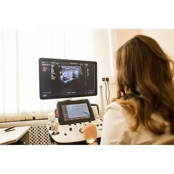 

УЗИ органов малого таза (ТВУЗИ - трансвагинальное УЗИ)