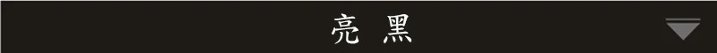 MINCL Круглые Солнцезащитные очки переходные фотохромные очки для чтения для мужчин дальнозоркость пресбиопии с диоптриями очки для пресбиопии NX