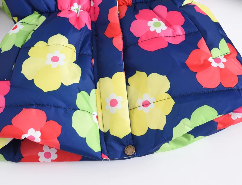 11536248283_1046179288