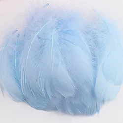 100pcs Small Goose Feathers for Crafts and Decorations (Light sky blue)