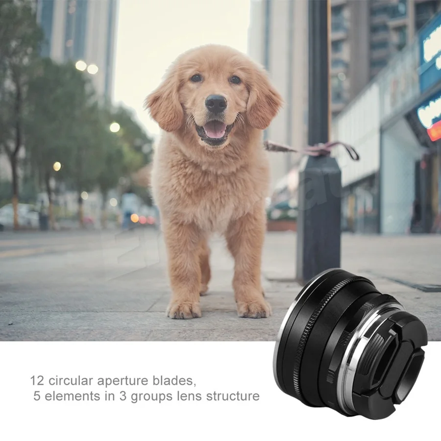 Объектив Pergear 25 мм F1.8 Prime для всех одиночных серий для крепления E/для M4/3 для камер Fuji A7 A7II A7RII X-A2 G3 G2 VS 7 ремесленников Объектив Pergear 25 мм F1.8 Prime для всех одиночных серий для крепления E/для M4/3 для камер Fuji A7 A7II A7RII X-A2 G3 G2 VS 7 ремесленников