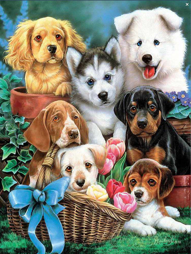 

Diamond Painting Dog Animal 5d Diy Mosaic Full Square Round Drill Diamant Of Rhinestone Daimond Embroidery Pictures Sale