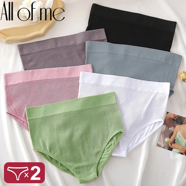 2PCS/Set Panties Women Underwear Seamless Panties Sexy Lingerie