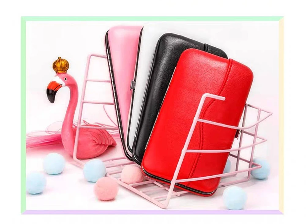 Storage for Tweezers Professional Eyelash Extension Tools Bag Protect Case for Eyebrow Scissors Brushes (5)