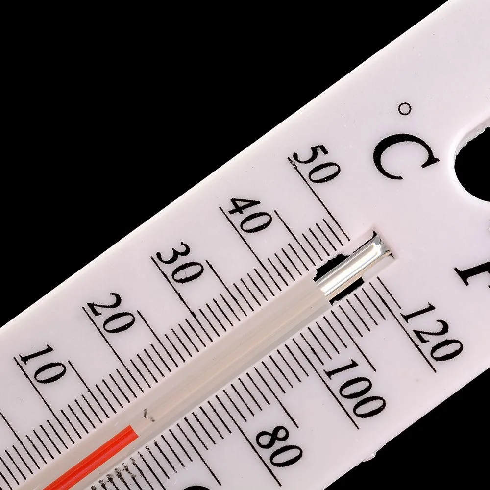 431513233318_DSC_6811