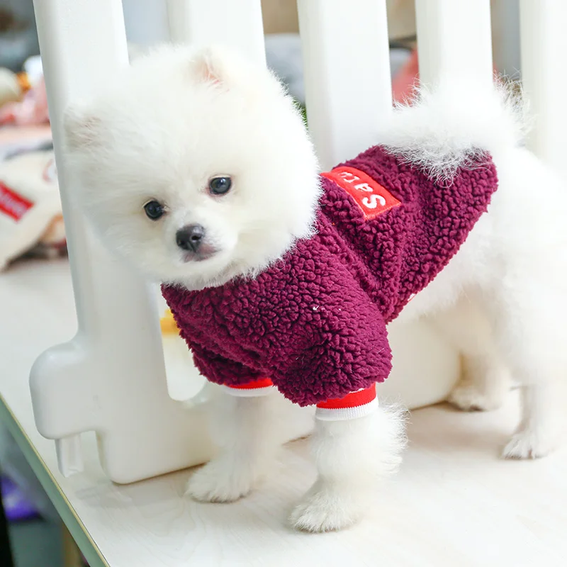 星期六圆领衫_8185