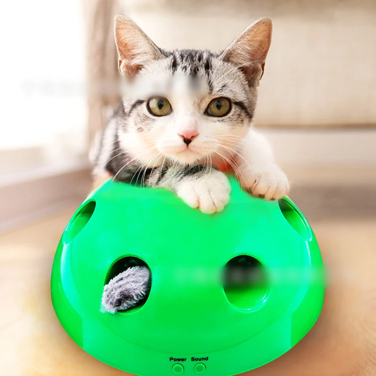 pop n play for cats