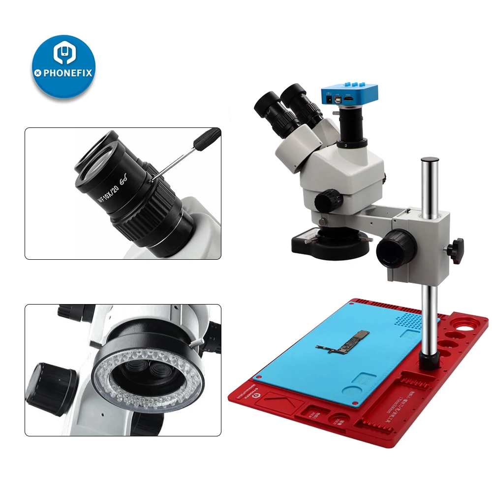 HTB1XKT0e21H3KVjSZFHq6zKppXa5