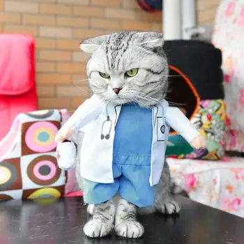 

Funny Cute Pet Costume Dog Cat Doctor Costume Pet Doctor Clothing Halloween Christmas Pet Dressing Up Cosplay Clothing