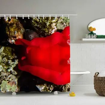 

Sea Slug Shower Curtain Vintage Desgin Polyester Fabric