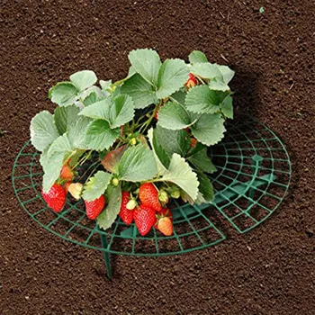 

1/5/10pcs Strawberry Supports Stand Balcony Vegetable Rack Plant Climbing Vines Pillar Garden Stand CLH@8
